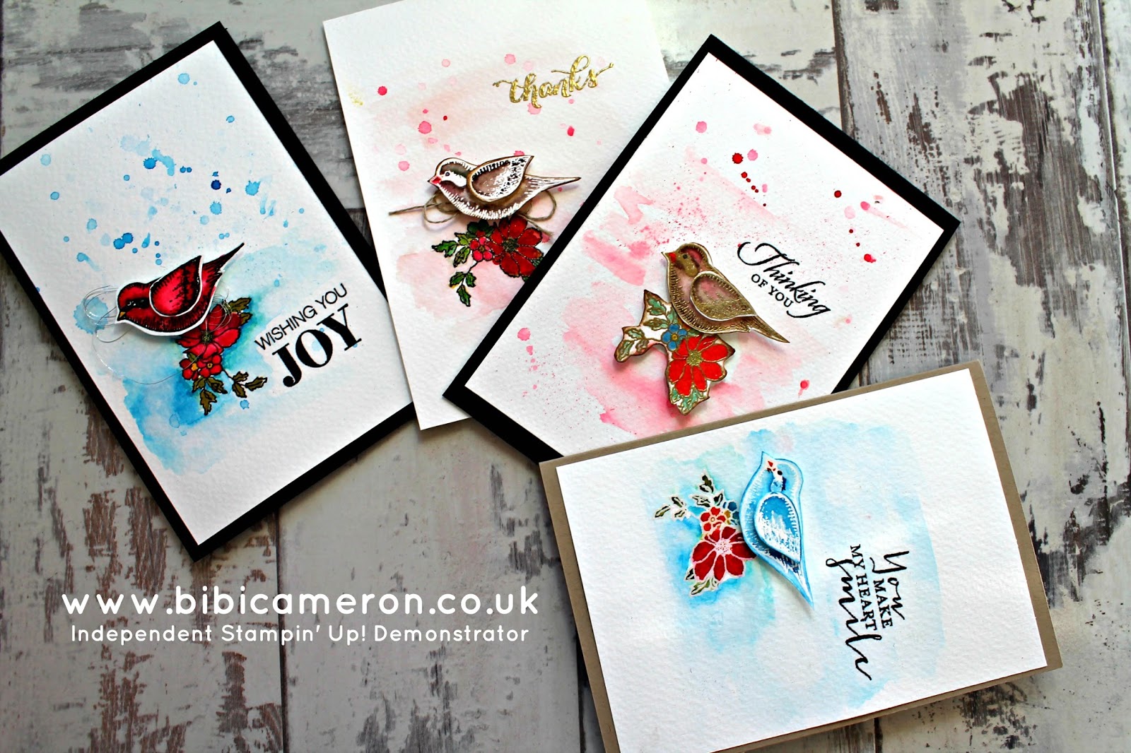 Stampin Up stamps and inks to make cards  for any ocassion