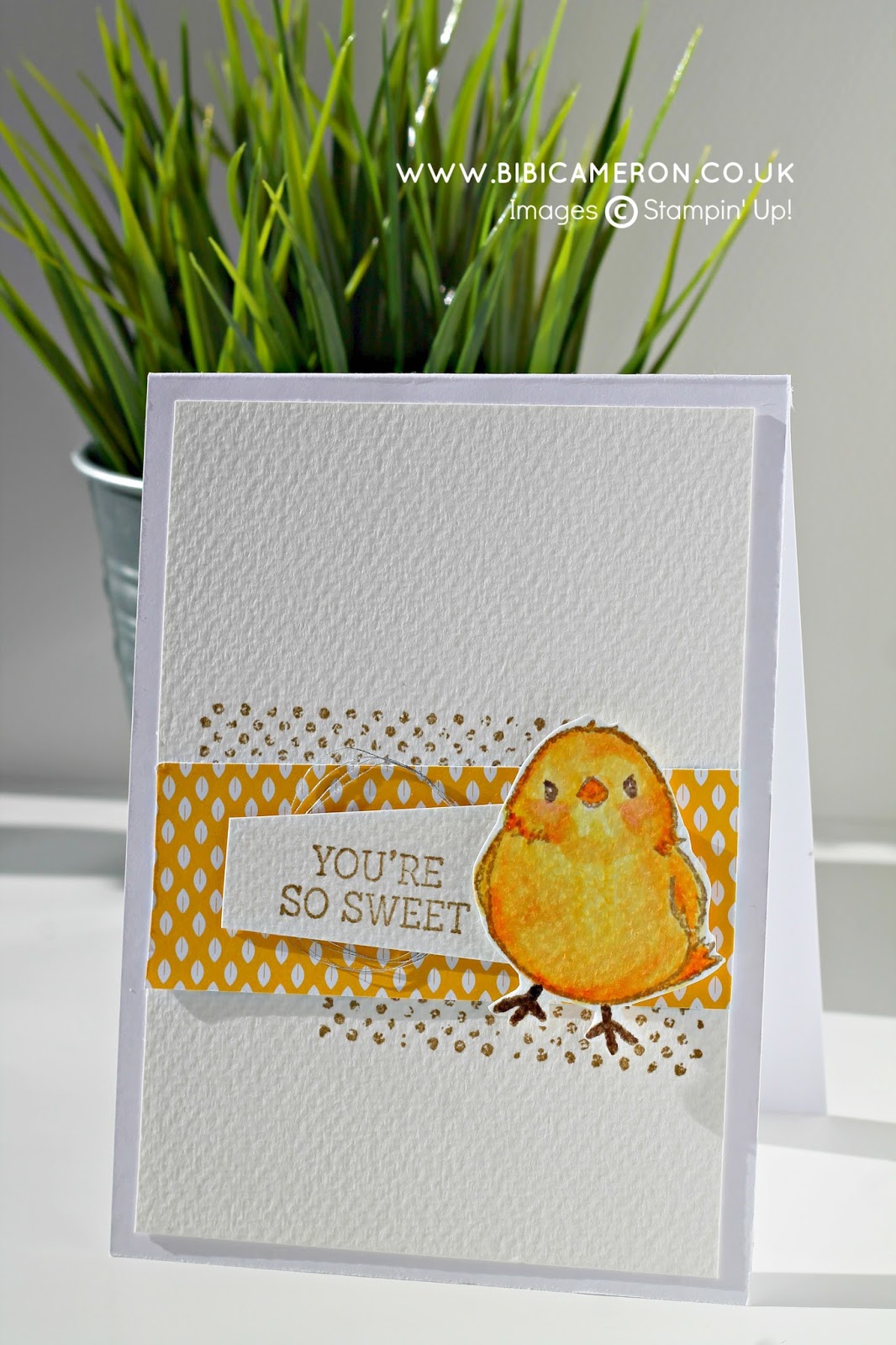 <img src="image.jpg" alt="chicken card" title="stampin up"/>