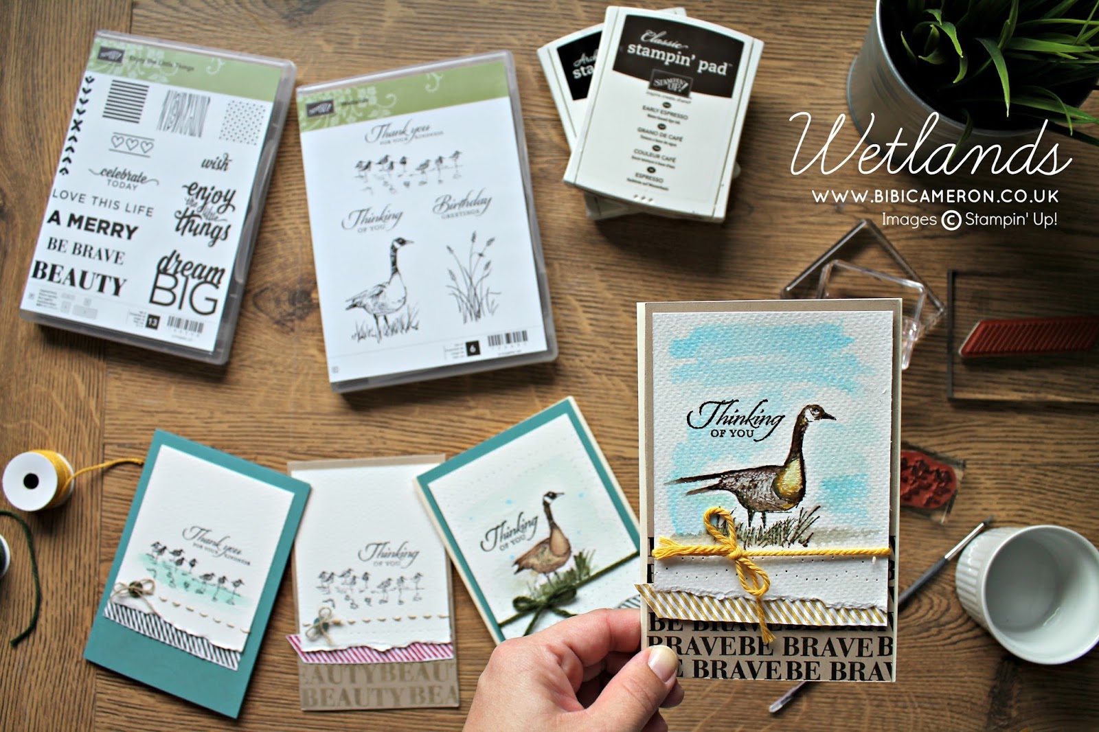 EASY NATURE THEMED CARDS WITH WETLANDS STAMPIN UP FOR GLOBAL DESIGN PROJECT #GDP031