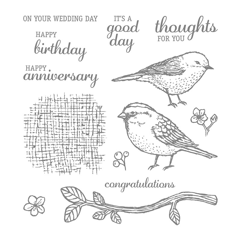 Best Birds Stamp Set By Stampin Up Global Design Project Colour