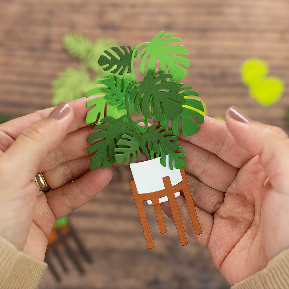 DieCut Paper Plants Take Time for You Project Kit by Fun Stampers