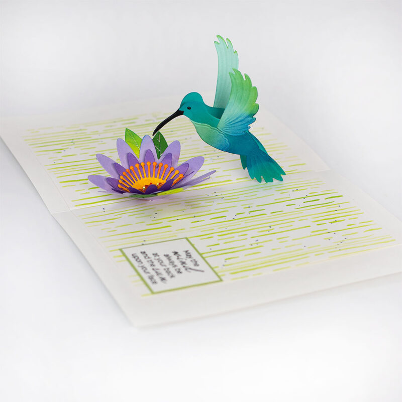 Spellbinders Pop-Up Hummingbird Tutorial