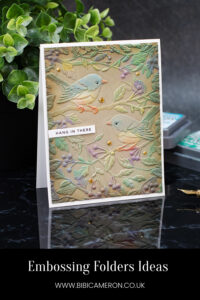 Embossing Folders and Distress Oxide Technique - Bibi Cameron