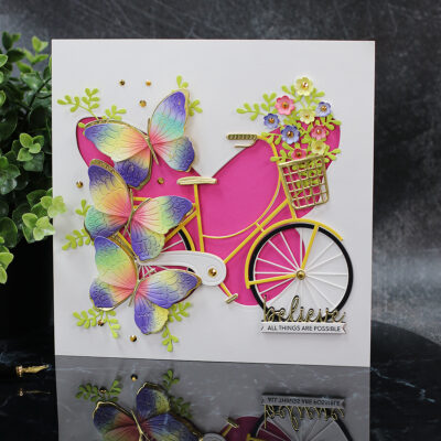 Creative Butterfly & Big Bicycle Paper Frame