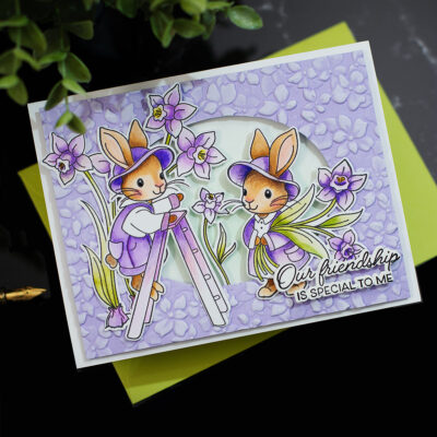 SSS Special Friend Stamps & Flower Frame Embossing Folder | Friendship Card