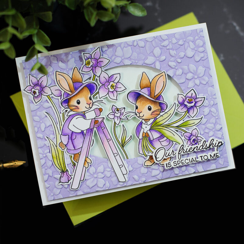 SSS Special Friend Stamps & Flower Frame Embossing Folder | Friendship Card